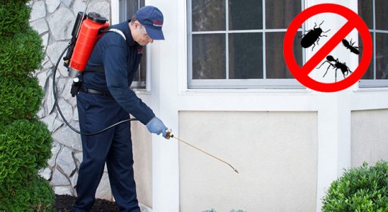 Koçarlı Böcek ve Haşere İlaçlama böcek ilaçlama ve haşere kontrolü — ilaclama-tr.com